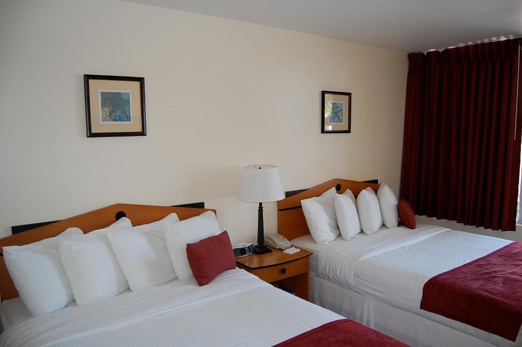Alcazar Resort- Gay Mens Resort Fort Lauderdale Cameră foto