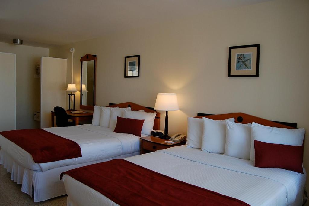 Alcazar Resort- Gay Mens Resort Fort Lauderdale Cameră foto